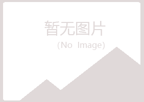 白银平川傲之工程有限公司